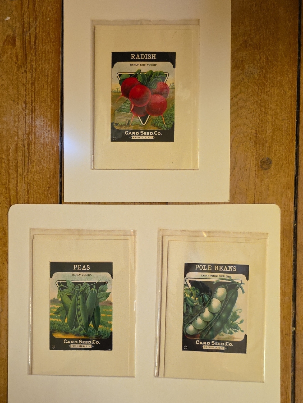 Card Seed Co. Botanical Seed Packet Art Set - Red & Green